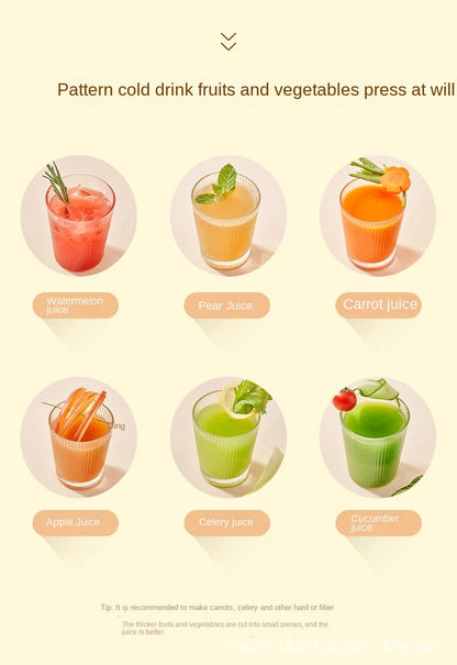 VacuSip Slow Juicer Pro