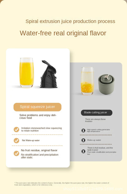 VacuSip Slow Juicer Pro
