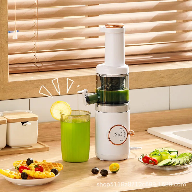 VacuSip Slow Juicer Pro