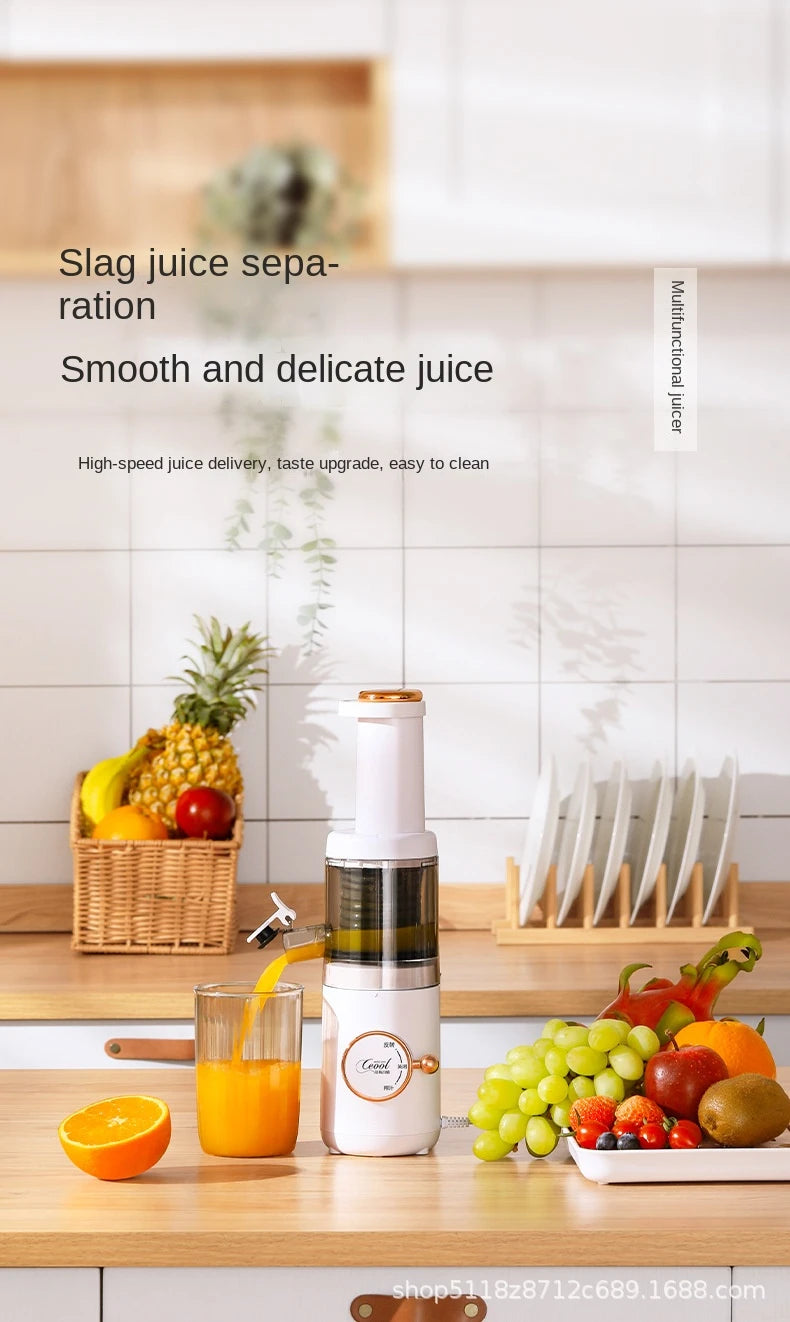 VacuSip Slow Juicer Pro