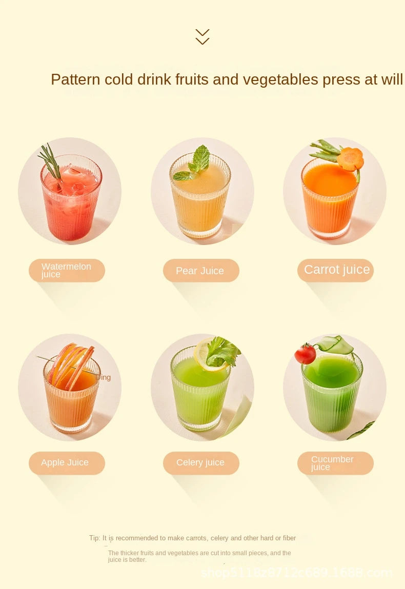 VacuSip Slow Juicer Pro